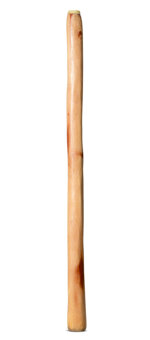 Medium Size Natural Finish Didgeridoo (TW1371)